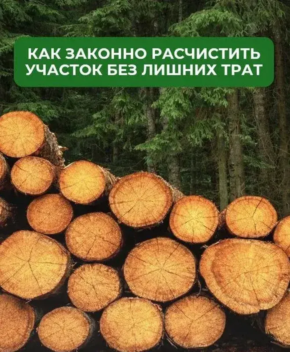 Расчистка участка