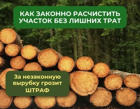 Расчистка участка