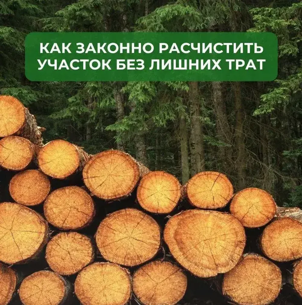 Расчистка участка